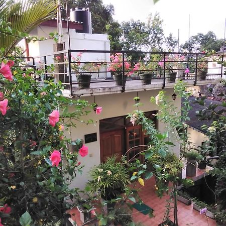 Araliya Home Stay Канди Экстерьер фото