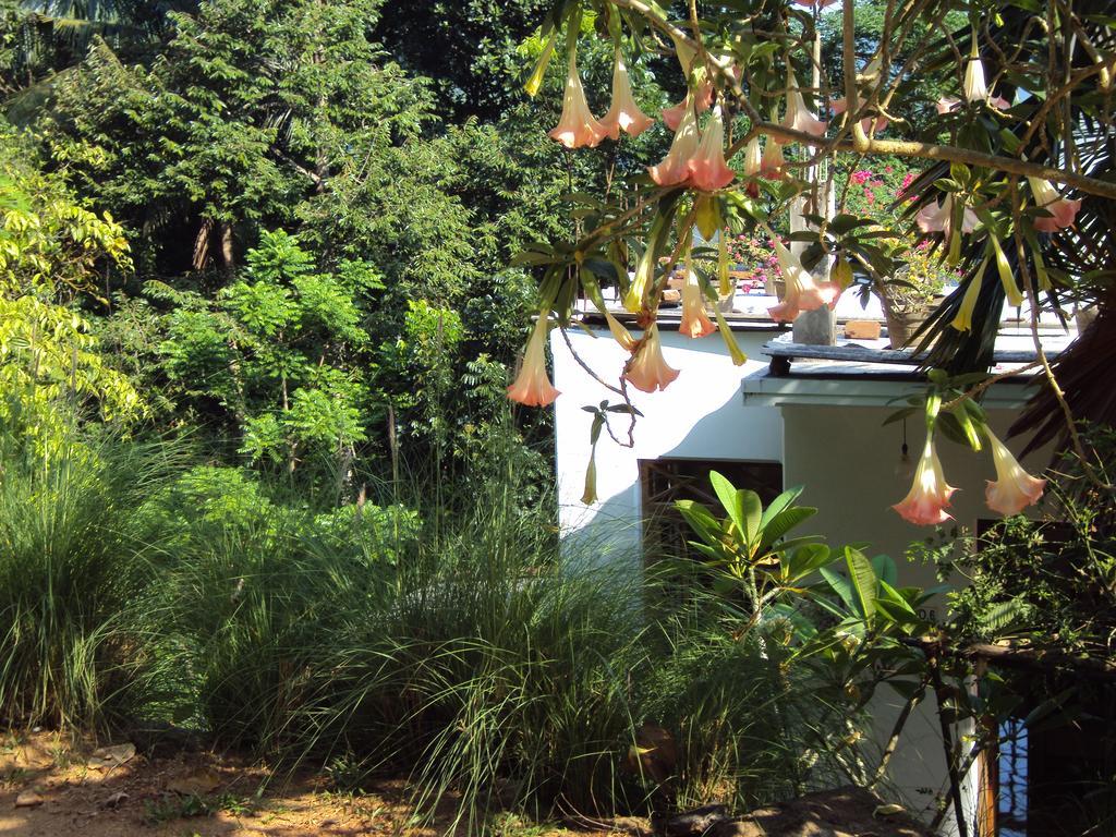 Araliya Home Stay Канди Экстерьер фото