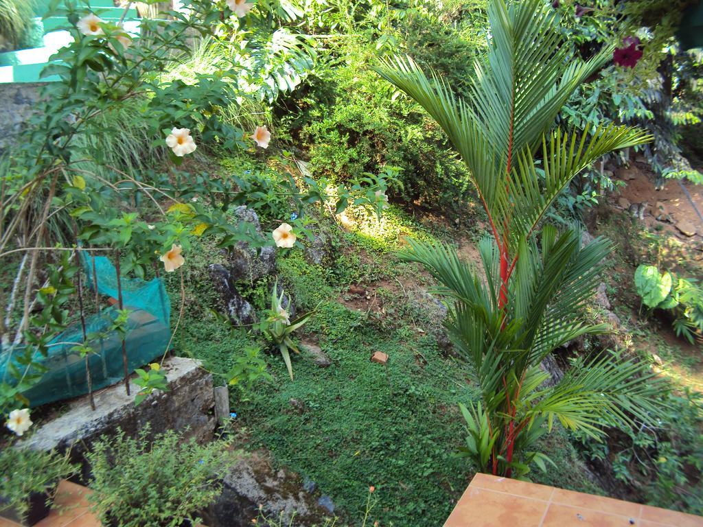 Araliya Home Stay Канди Экстерьер фото